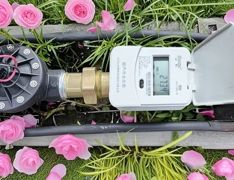 杭州“頂流”驚艷全國(guó)，山科如何守護(hù)城市“空中花廊”